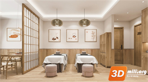 Spa Skp Files 